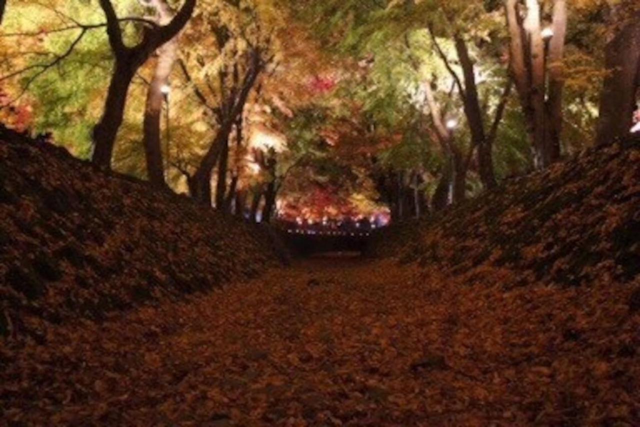 Villa Enico,Mt,Fuji Nagomi和 旧 Tocoro,Mt,Fuji Uzuki Fujikawaguchiko Esterno foto